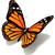 :iconanatoli2000: