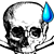 :iconanatomy-templars: