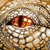 :iconanaturtle12: