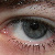 :iconanavar-photo: