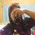 :iconanazamoradesigns: