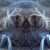 :iconancanus: