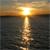 :iconancestral-phoenix: