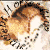 :iconancienthorses:
