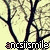 :iconancsii-smile: