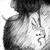 :iconancutsp: