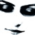 :iconandacwandet: