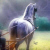 :iconandalusian-club: