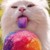 :iconanddylujan: