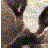 :iconandeverythingafter: