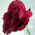 :iconAndgieH: