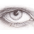 :iconAndgott: