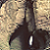 :iconandicent: