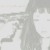 :iconandidaeng: