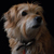 :iconandiq87:
