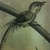 :iconandisocial38: