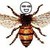 :iconandlothebees: