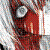 :iconandpigswillfly18: