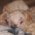:iconandra121: