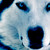 :iconandrea5710: