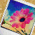 :iconandreadannellex3: