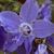 :iconandreazeh: