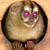 :iconandreep: