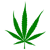 :iconandrei-cst: