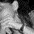 :iconandreia-con: