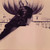 :iconandreipa: