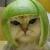 :iconandrejammmmew: