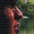 :iconandresto: