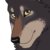 :iconandreus: