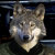 :iconandrevgriffin: