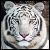 :iconandrew-faubert: