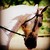:iconandrew-jones8: