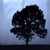 :iconandrew16-1988: