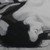 :iconandrewek: