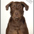 :iconandrewkumlerphoto: