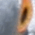 :iconandrewsheahan: