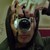 :iconandrewsown: