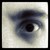 :iconandrewspies:
