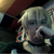 :iconandreyadelioncourt: