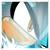 :iconandrillia: