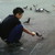 :iconandroidclones: