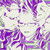 :iconandromada1: