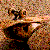 :iconandroo52: