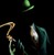 :iconandru-hewitt: