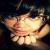 :iconandshesaidstay: