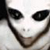:iconandy-moon: